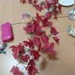 Die schönen Seiten des Herbstes.